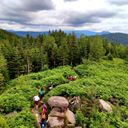 picture of a group walking in the forest