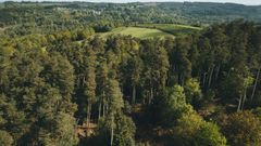 Vue aérienne d'une forêt luxuriante