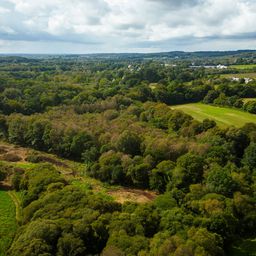 alt_langoelant_wetlands_drone
