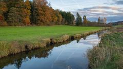 react.assling-peatland