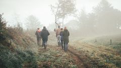 Forêt de Cleden Poher