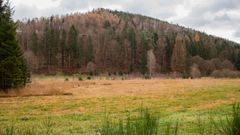 react.dahner-felsenlandschaft