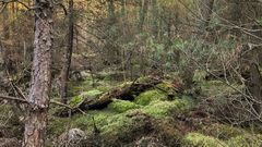 react.dahner-felsenlandschaft