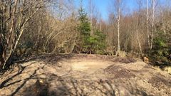 Champeau in Morvan forest