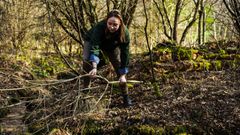 Champeau in Morvan forest