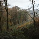 Forêt de Cleden Poher 2