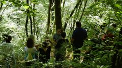 Forêt de Monceaux sur Dordogne