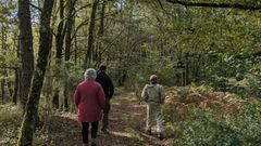 Forêt de Monceaux sur Dordogne