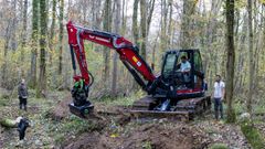 Forêt de Pézarches