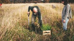 Forêt de Ploërdut 1