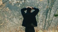 react.foret-du-faouet-5