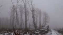 Harz-skoven (Stolberg)