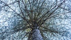 La Chapelle Saint Rémy