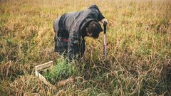 Forêt de Ploërdut 5