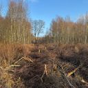 schonwolder-moor