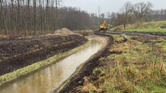 react.schonwolder-moor