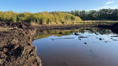 react.schonwolder-moor