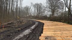 react.schonwolder-moor