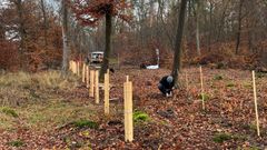 react.wald-bei-koenigstein