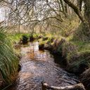 Ploerdut wetland