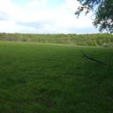 EcoTree