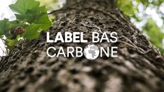 carbon-page.carbon-credit-offer.card2.subtitle