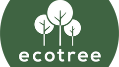 Forêt de Landiras 1